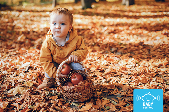 Niño con un cesto de manzanas en un bosque otoñal durante una actividad de exploración de la naturaleza.