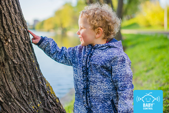 Cada primavera aparece la procesionaria del pino. Descubre por qué es peligrosa para los niños y qué hacer si entran en contacto con ella.