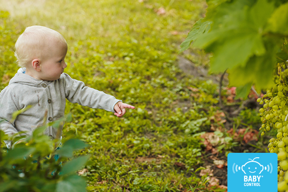 En los primeros años, aprender pasa por el cuerpo: tocar la tierra, seguir una hormiga o mirar cómo se mueve una hoja al viento también es una forma de descubrir el mundo sin prisas, desde el juego y lo cotidiano.