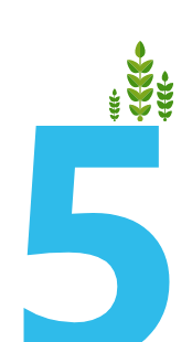 Icono de un número 5 con unas flores